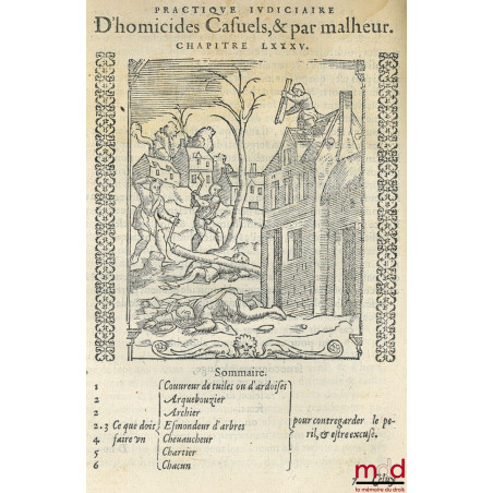 PRACTIQUE JUDICIAIRE ES CAUSES CRIMINELLES, TRES UTILES, NECESSAIRE A TOUS BAILLITS, PREVOSTS, SENESCHAUX, ESCOUTETTES, Maire...