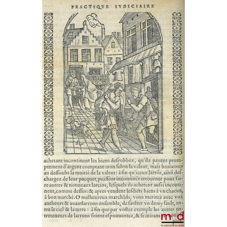 PRACTIQUE JUDICIAIRE ES CAUSES CRIMINELLES, TRES UTILES, NECESSAIRE A TOUS BAILLITS, PREVOSTS, SENESCHAUX, ESCOUTETTES, Maire...