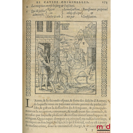 PRACTIQUE JUDICIAIRE ES CAUSES CRIMINELLES, TRES UTILES, NECESSAIRE A TOUS BAILLITS, PREVOSTS, SENESCHAUX, ESCOUTETTES, Maire...