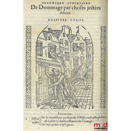 PRACTIQUE JUDICIAIRE ES CAUSES CRIMINELLES, TRES UTILES, NECESSAIRE A TOUS BAILLITS, PREVOSTS, SENESCHAUX, ESCOUTETTES, Maire...