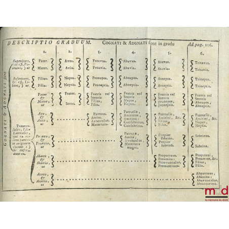 INSTITUTIONUM JURIS CIVILIS TRACTATIO NOVA ET METHODICA, Editio nova in priorem elegantiam restituta