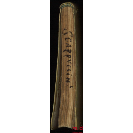 TRACTATUS DE SUCCESSORE SINGULARI, An, & quando teneatur stare coloniæ, vel locationi, ad materiam I. emptorem, C. locati, Pe...