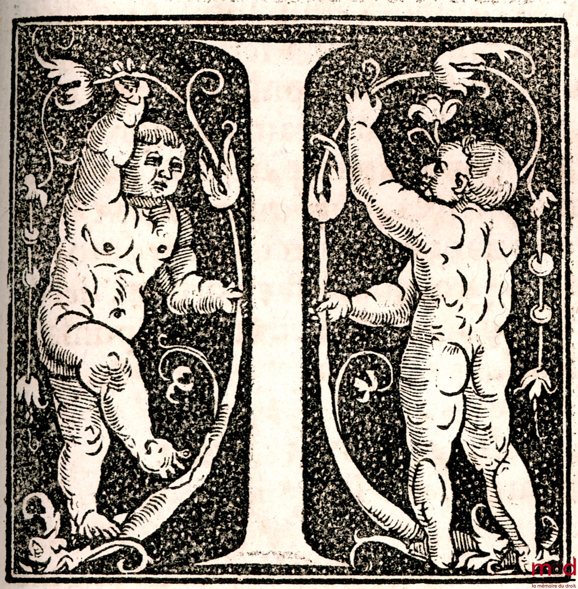 PLACENTINUS (Petrus) – IN CODICIS DN IUSTINIANI SACRATISSIMI PRINCIPIS EX REPETITA PRÆLECTIONE LIBROS IX SUMMA A PLACENTINO LEGUM INTERPRETE EXCELLENTISSIMO, ANTE 400. FERME ANNOS CONSCRIPTA, ET NUNC PRIMUM IN LUCEM ÆDITA. ACCESSIT PRÆTEREA INDEX GERMINUS