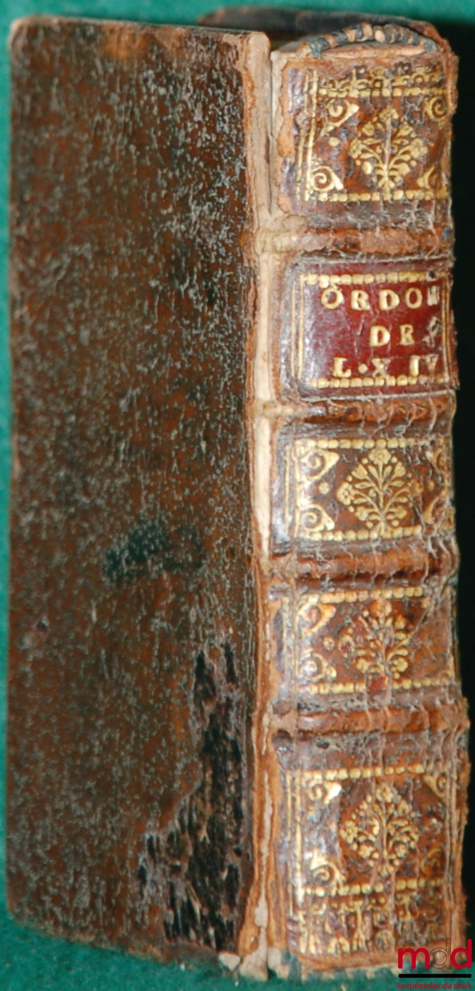 [Ordonnance] – ORDONNANCE DE LOUIS XIV, ROY DE FRANCE ET DE NAVARRE, DONNÉE À SAINT GERMAIN EN LAYE AU MOIS D’AVRIL 1667