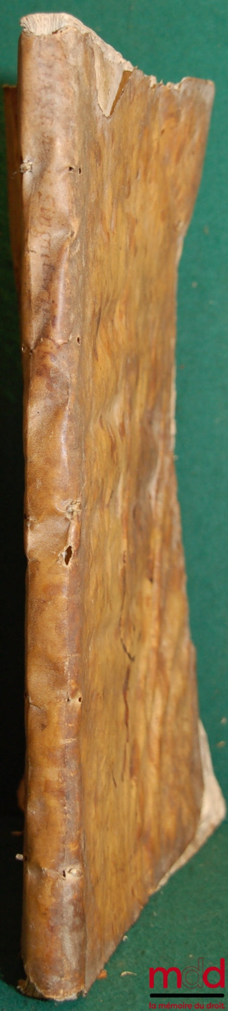 CONCENATIUS (Jacobus) – JACOBI CONCENATII JURISCONS. QUAESTIONUM JURIS SINGULARIUM LIBRI QUATOR. In quibus causarum forensium apices Iudiciorum difficillimi nodi ac αντινομίώμ dissolutiones resoluuntur