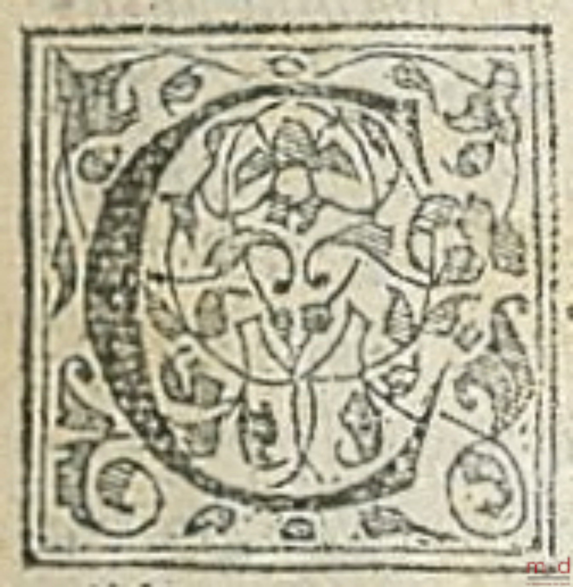 HALOANDRO (Gregorio) [HALOANDRE] – CORPUS JURIS CIVILIS, NOVELLARUM CONSTITUTIONUM DN. JUSTINIANI PRINCIPIS, QUÆ EXTANT, ET UT EXTANT, VOLUMEN