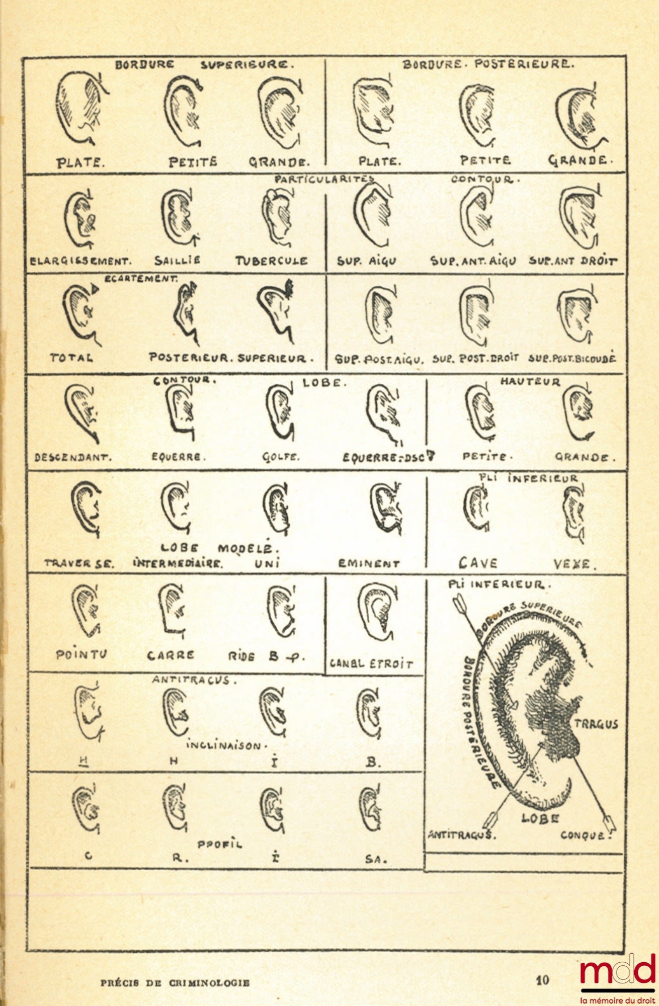 BÉROUD (Georges) – PRÉCIS DE CRIMINOLOGIE ET DE POLICE SCIENTIFIQUE, Préface de M. A. Rol, Bibl. Scientifique