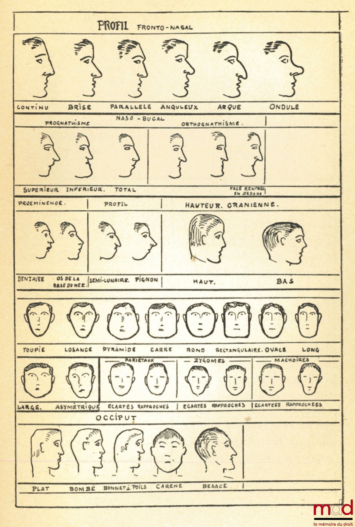BÉROUD (Georges) – PRÉCIS DE CRIMINOLOGIE ET DE POLICE SCIENTIFIQUE, Préface de M. A. Rol, Bibl. Scientifique