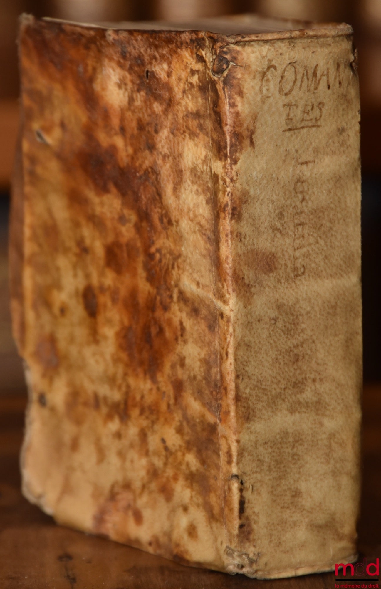 [CUJAS (Jacques)], CUJACII (Jacobi) – PARATITLA IN LIBROS IX. CODICIS IUSTINIANI repetitæ prælectionis. OPUS IAC. CUIACII. AD NOBILISSIMUM longeque omnium Iurisperitorum præstantissimum D. Paulum de Foix, Consiliarium sanctioris intimique consessus Christ