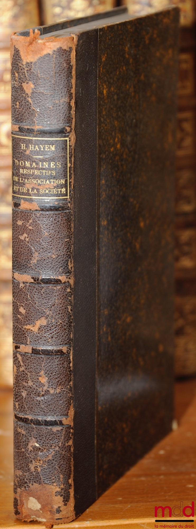 HAYEM (Henri) – DOMAINES RESPECTIFS DE L’ASSOCIATION & DE LA SOCIÉTÉ