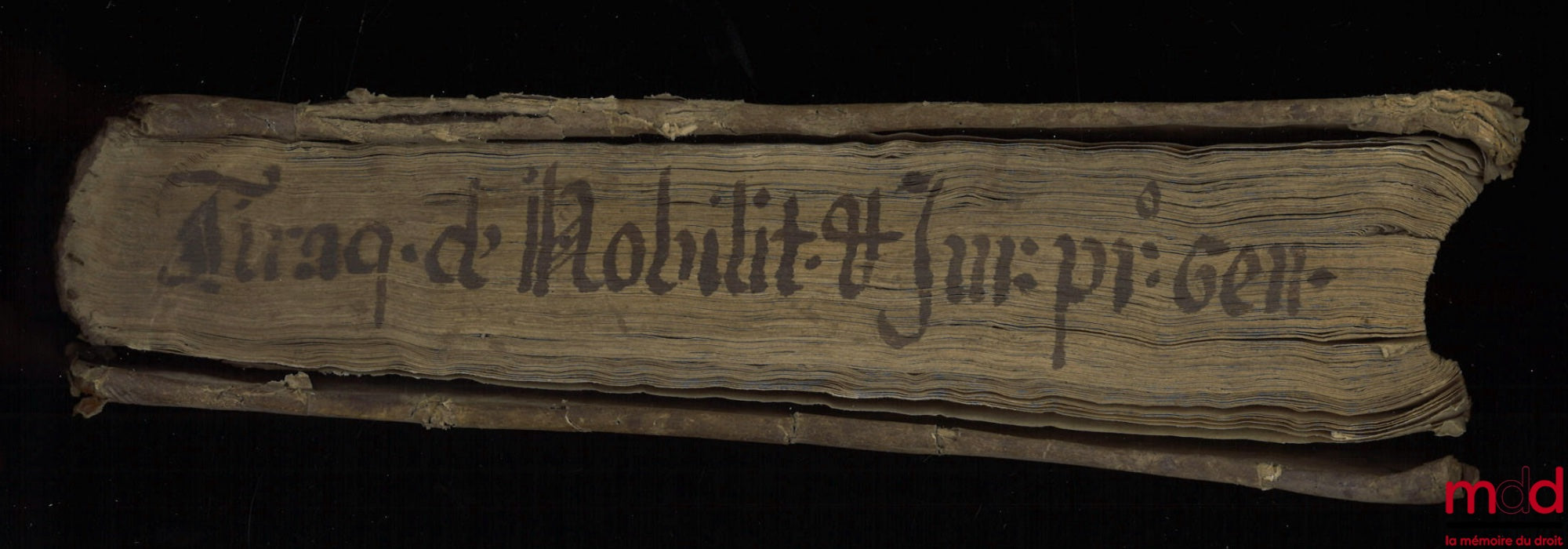 TIRAQUELLI (Andreæ) [TIRAQUEAU (André)] – REGII IN CURIA PARISIENSI SENATORIS. t. I : DIGNISSIMI, OPERA OMNIA, Quæ hactenus extant, Septem Tomis distincta : quorum hic Primus continet libros, DE NOBILITATE, ET IURE PRIMIGENIORUM, IAM DENVO RECUSA, ET A PL