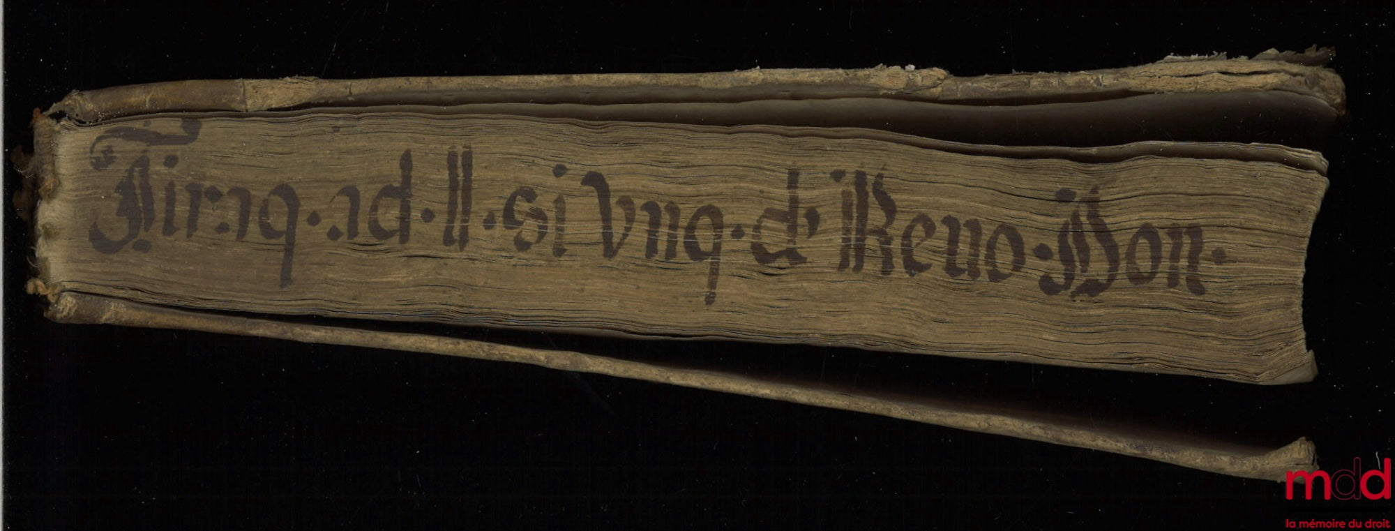 TIRAQUELLI (Andreæ) [TIRAQUEAU (André)] – REGII IN CURIA PARISIENSI SENATORIS. t. I : DIGNISSIMI, OPERA OMNIA, Quæ hactenus extant, Septem Tomis distincta : quorum hic Primus continet libros, DE NOBILITATE, ET IURE PRIMIGENIORUM, IAM DENVO RECUSA, ET A PL