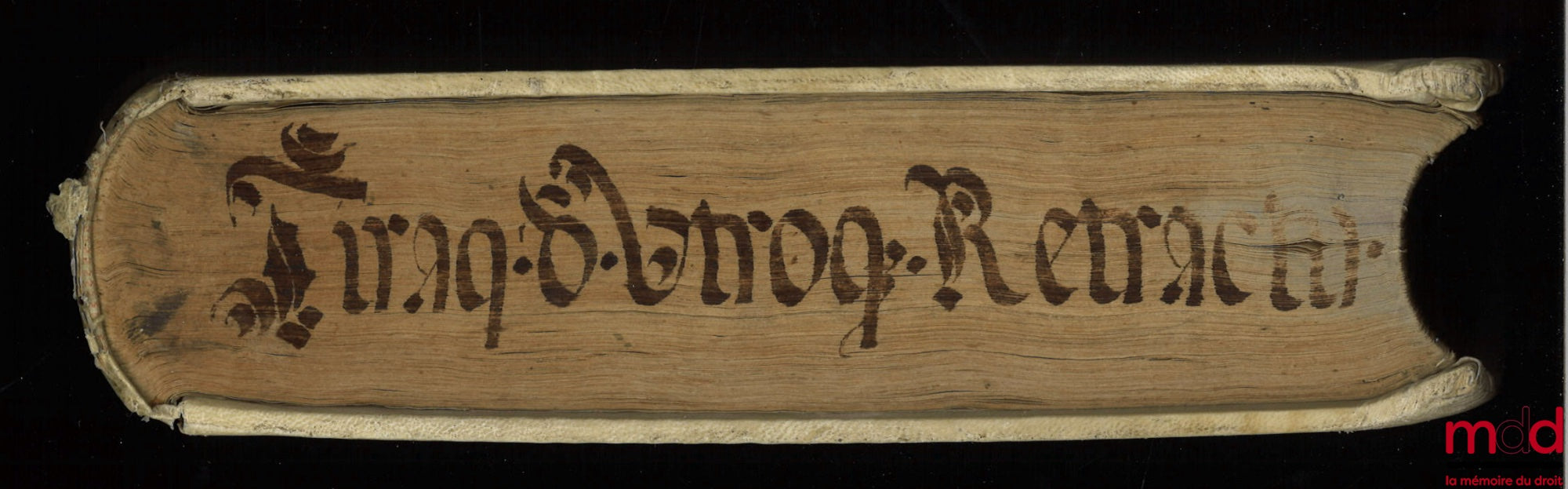 TIRAQUELLI (Andreæ) [TIRAQUEAU (André)] – REGII IN CURIA PARISIENSI SENATORIS. t. I : DIGNISSIMI, OPERA OMNIA, Quæ hactenus extant, Septem Tomis distincta : quorum hic Primus continet libros, DE NOBILITATE, ET IURE PRIMIGENIORUM, IAM DENVO RECUSA, ET A PL