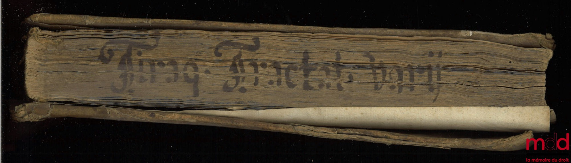 TIRAQUELLI (Andreæ) [TIRAQUEAU (André)] – REGII IN CURIA PARISIENSI SENATORIS. t. I : DIGNISSIMI, OPERA OMNIA, Quæ hactenus extant, Septem Tomis distincta : quorum hic Primus continet libros, DE NOBILITATE, ET IURE PRIMIGENIORUM, IAM DENVO RECUSA, ET A PL