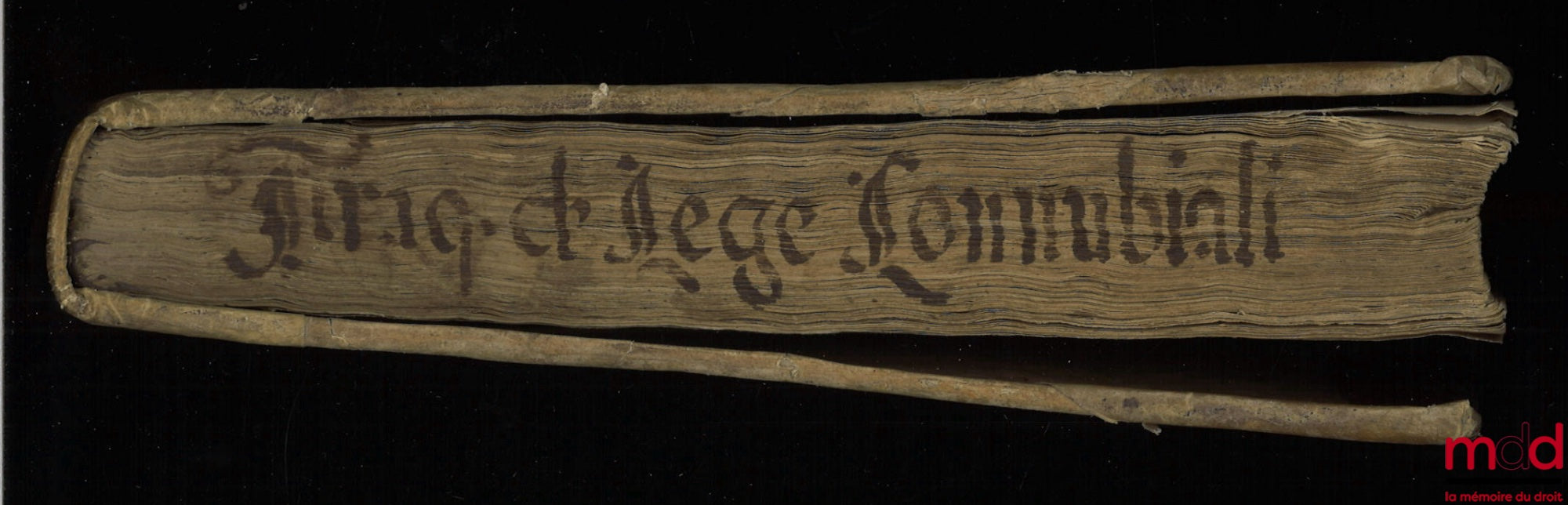 TIRAQUELLI (Andreæ) [TIRAQUEAU (André)] – REGII IN CURIA PARISIENSI SENATORIS. t. I : DIGNISSIMI, OPERA OMNIA, Quæ hactenus extant, Septem Tomis distincta : quorum hic Primus continet libros, DE NOBILITATE, ET IURE PRIMIGENIORUM, IAM DENVO RECUSA, ET A PL