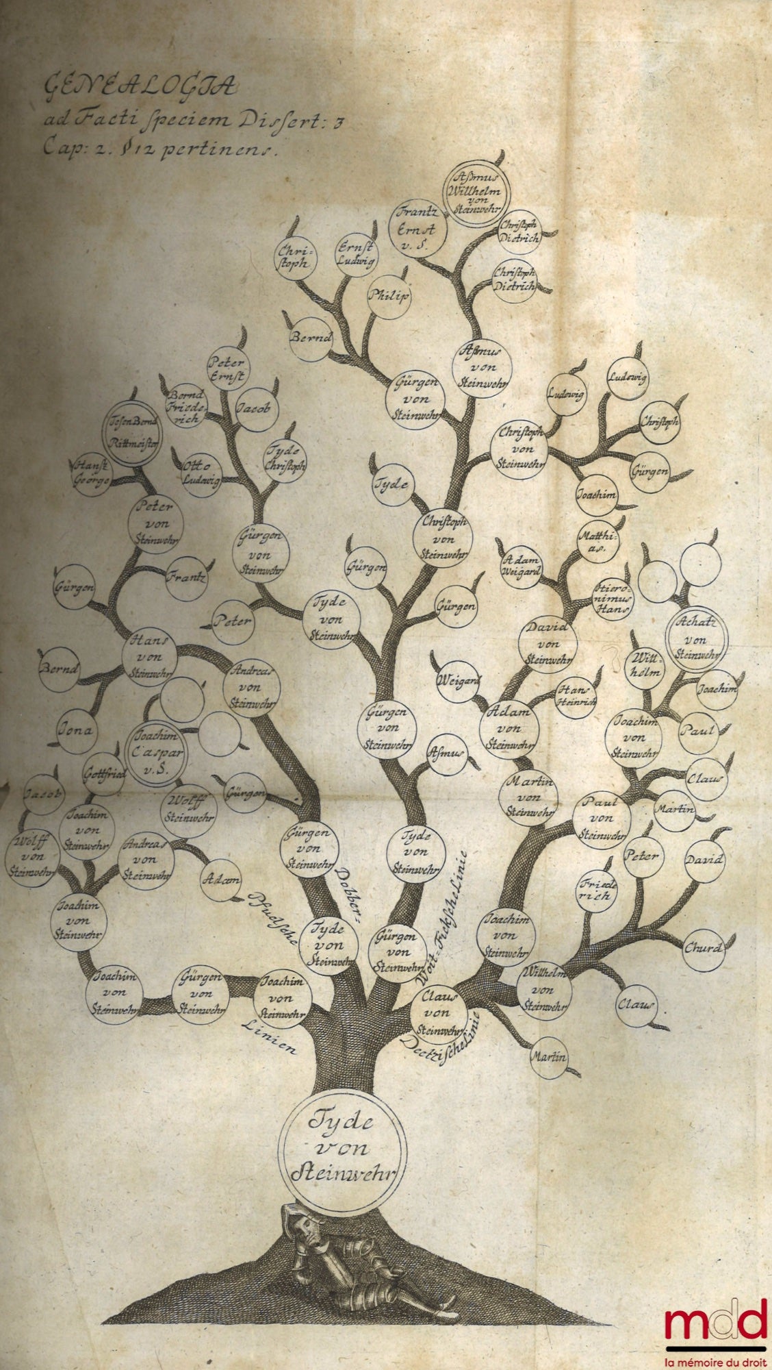 STRYKIO (Samuele) [STRYK (Samuel)] – TRACTATUS DE SUCCESSIONE AB INTESTATO, In quo Non tantum Ordinaria in Allodiis & Feudis succedendi ratio, sed & Extraordinariæ illæ Successiones Prætoriæ, Statutariæ, Fideicommissariæ, Pactitiæ omnis generis, subjuncta