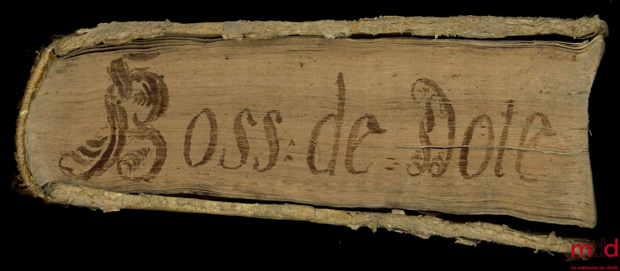 BOSSII (Ioan Angeli) [BOSSI (Giovanni Angelo)] – R.P.D. Ioan. Angeli Bossii, ex Cleric. Regul. Barnabitis, congreg. S. Pauli, Tractatus de peculiari effectu contractus matrimonii, nempe de Dote Filiabus danda, déque Dote in vniuersum iuxta vtrumque forum 