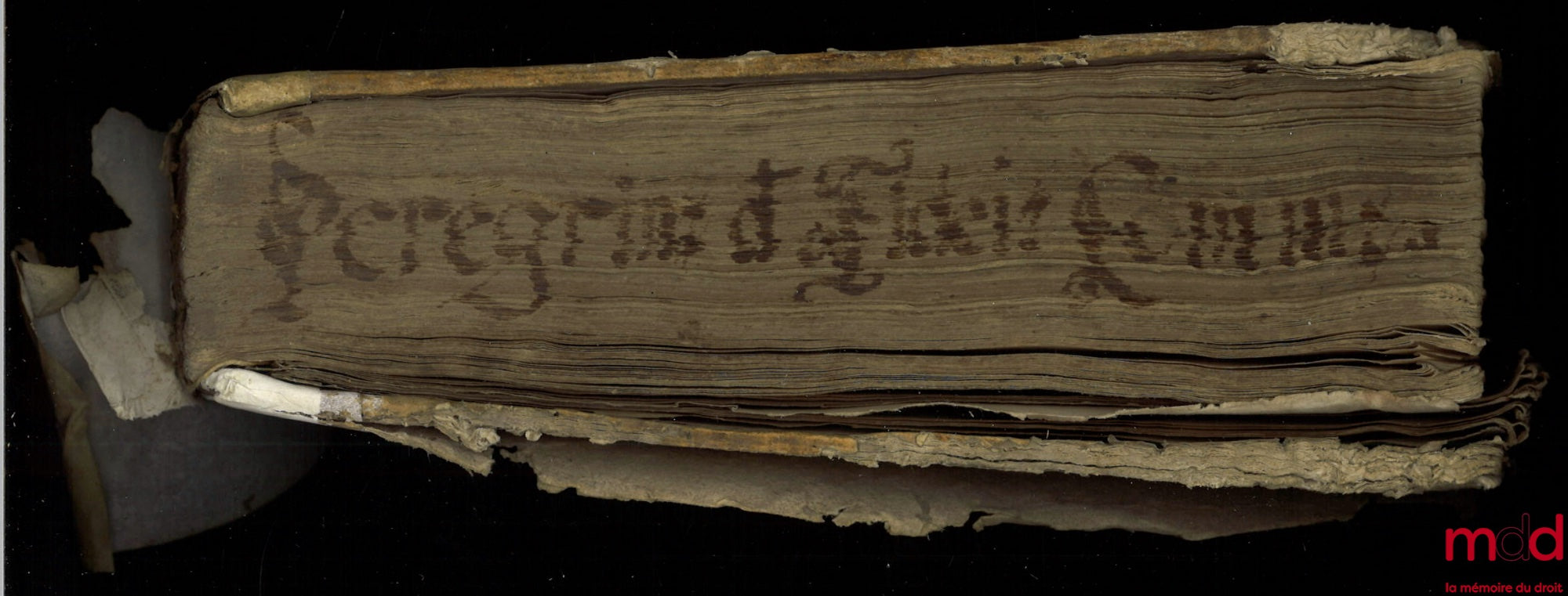 PEREGRINI (M. Antonii) [PELLEGRINI (Marcantonio)] – DE FIDEICOMMISSIS PRÆSERTIM UNIVERSALIBUS, TRACTATUS fREQUENTISSIMUS, M. ANTONII PEREGRINI, I.C. præclarissimi, ac Mag. Cameræ Patauinæ Aduocati Fiscalis, & Sereniss. Reipub. Venetæ Consultoris. Omnibus