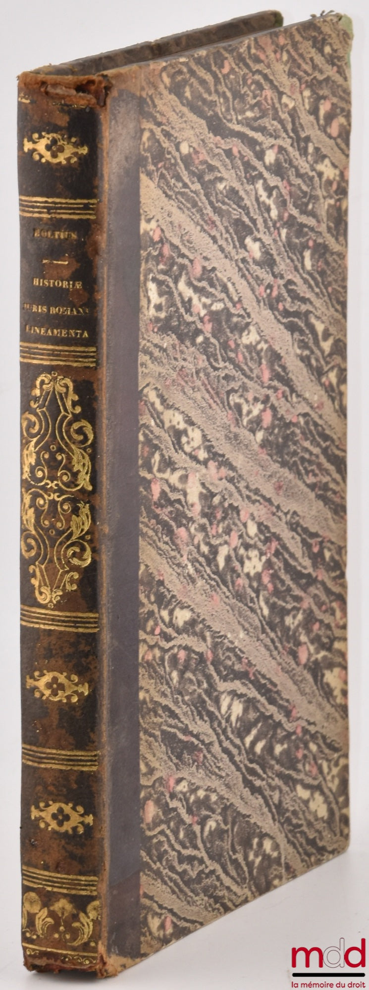 HOLTIUS (Adrianus Catharinus) – HISTORIÆ JURIS ROMANI LINEAMENTA. Quibus in academica institutione uteretur