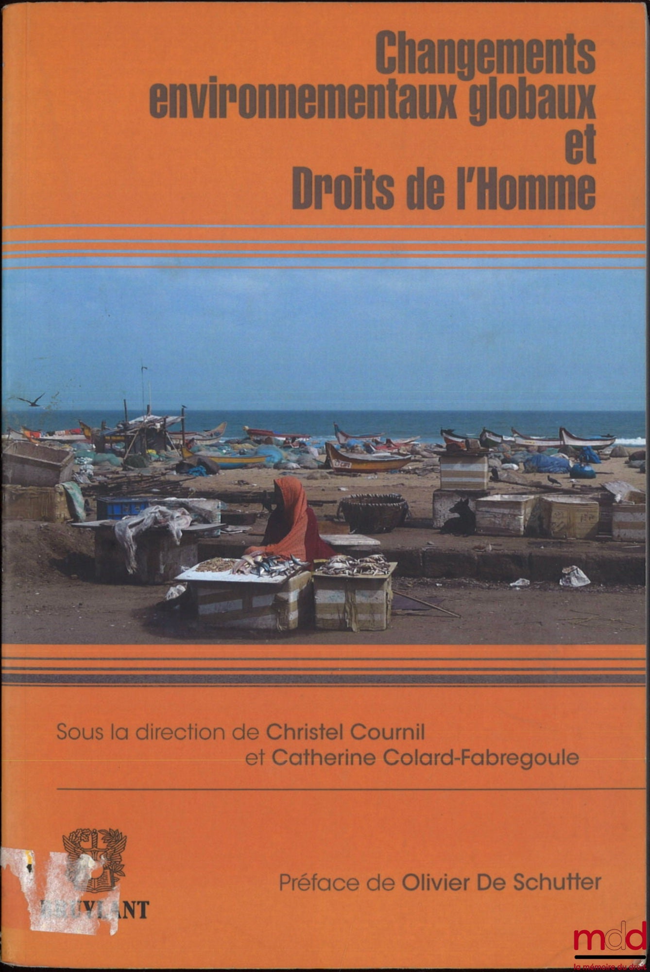 [Collectif] – CHANGEMENTS ENVIRONNEMENTAUX GLOBAUX ET DROITS DE L’HOMME, dir. Christel Cournil et Catherine Colard-Fabregoule, Préface de Olivier de Schutter